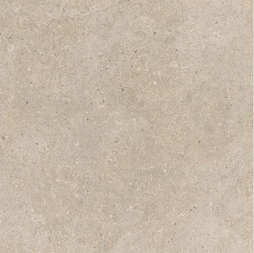 ULISSE NATURAL 60X60 ANTID 17.webp