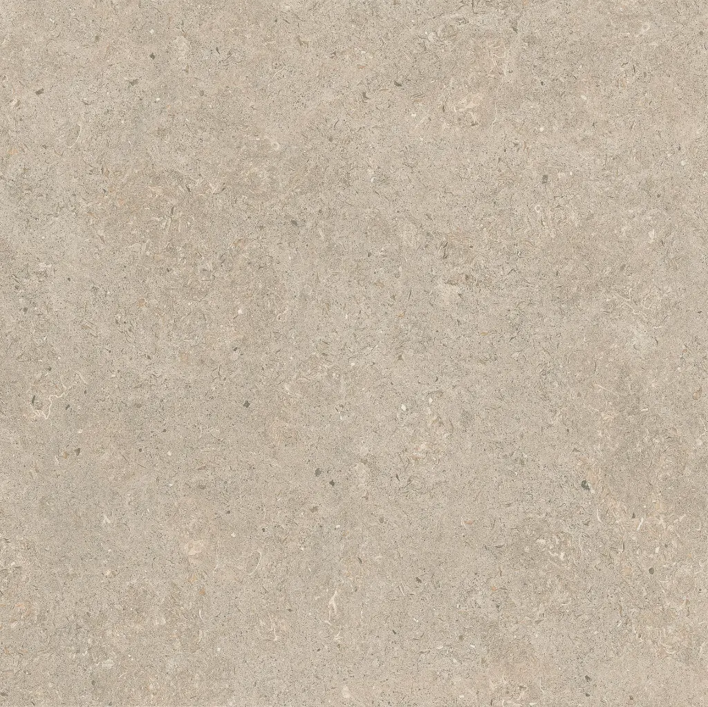 ULISSE NATURAL 60X60 ANTID 06.webp