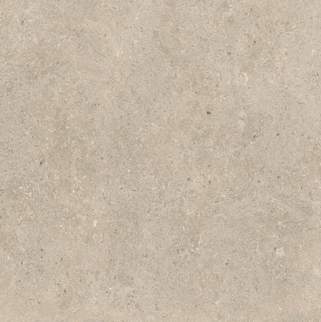 ULISSE NATURAL 60X60 ANTID 10.webp