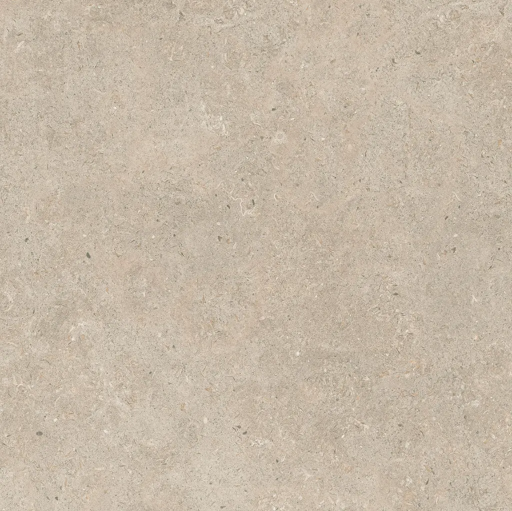 ULISSE NATURAL 60X60 ANTID 13.webp