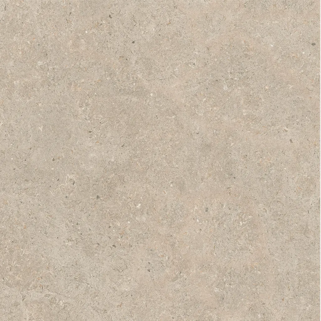 ULISSE NATURAL 60X60 ANTID 09.webp