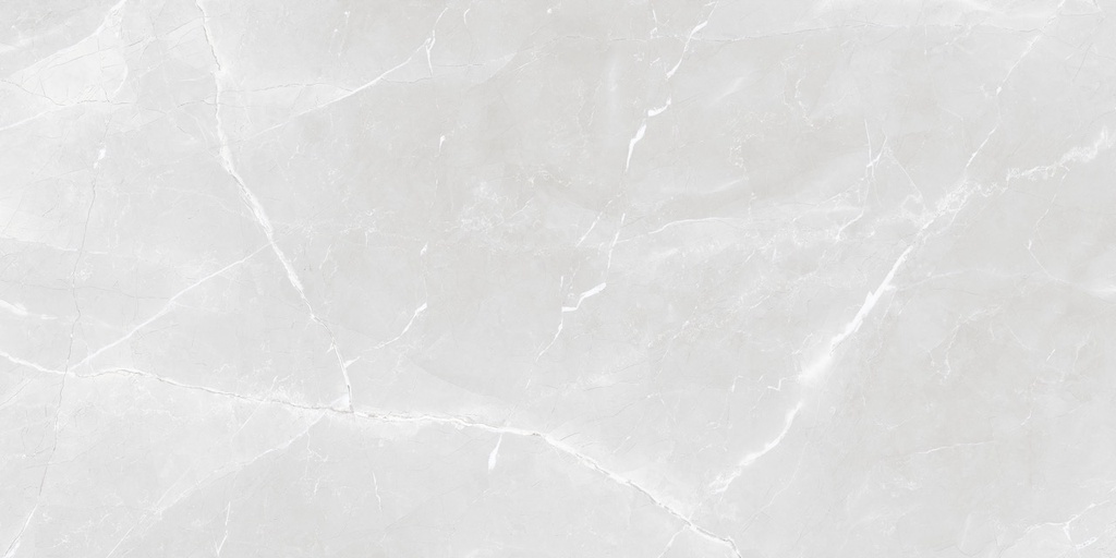 Earthstone White Polished 24X48