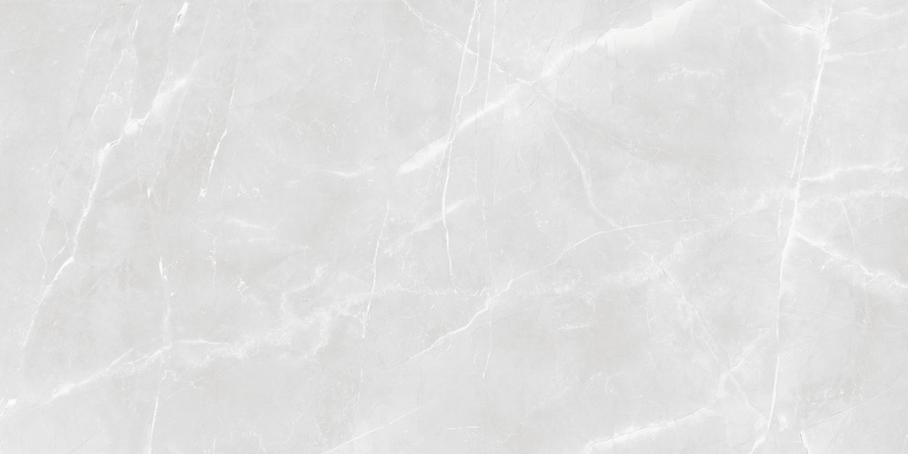 Earthstone White Polished 24X48