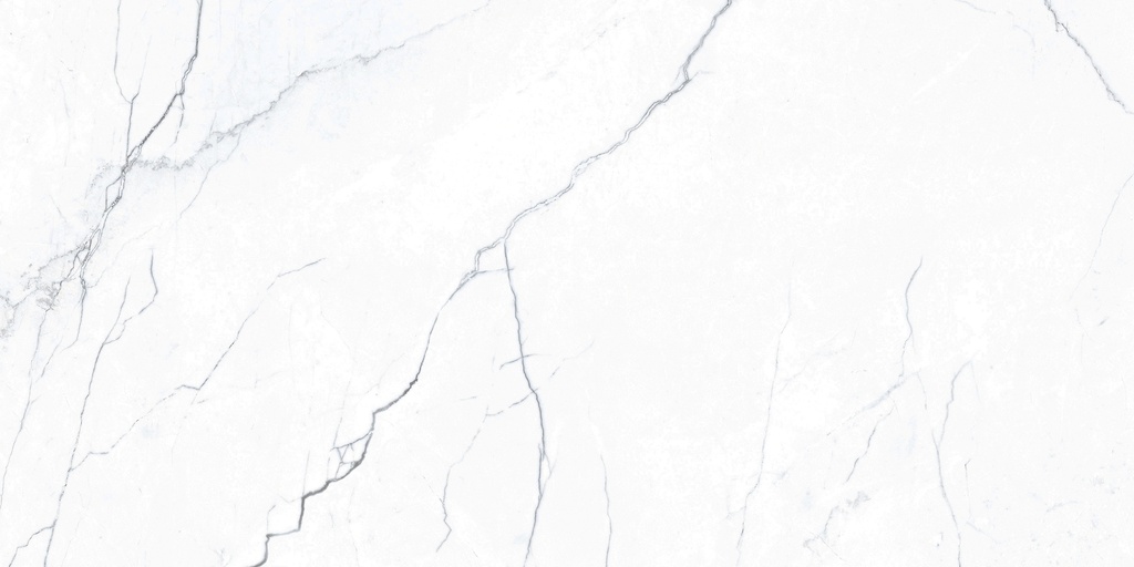 Elegance Marb White 24X48