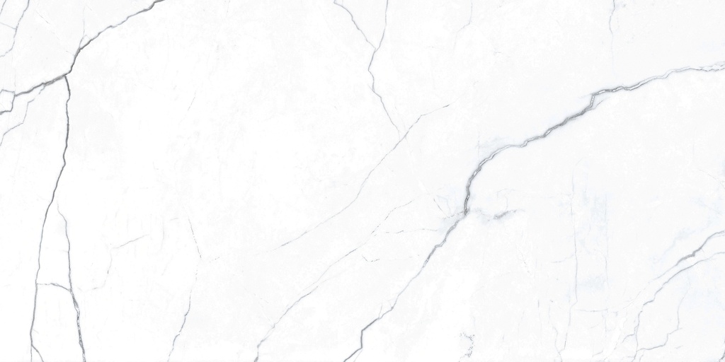 Elegance Marb White 24X48