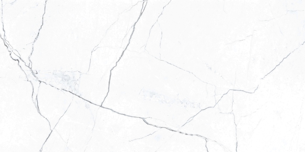 Elegance Marb White 24X48