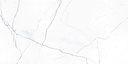 Elegance Marb White 24X48