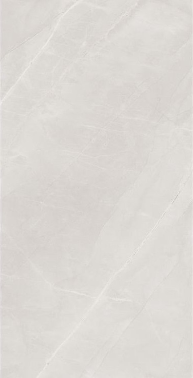 Elegant Bianco Polished 24X48