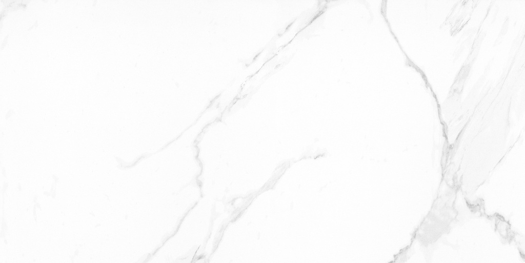 Naos Alpine Pulido 24X48