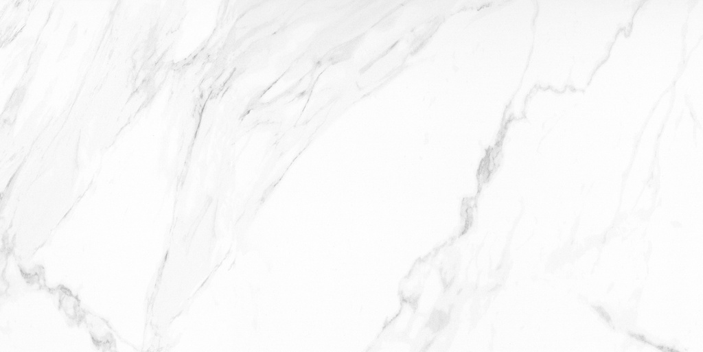 Naos Alpine Pulido 24X48