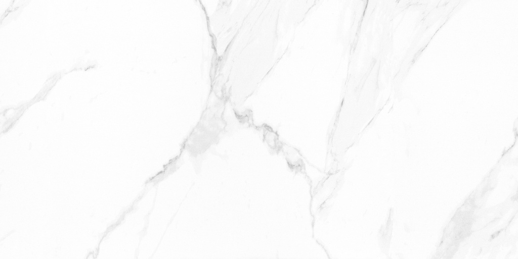 Naos Alpine Pulido 24X48