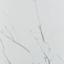 Grayish Polished 29.3X29.3