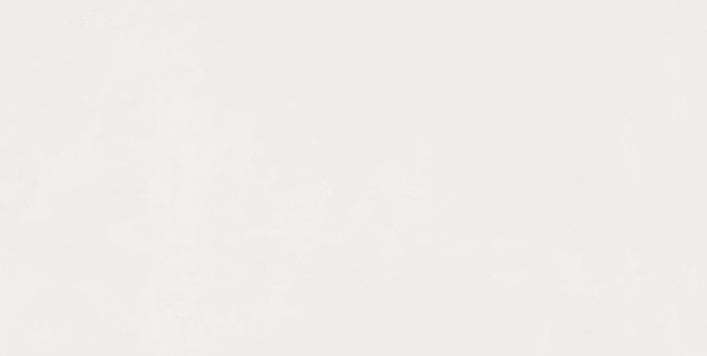 Kadence Blanco Mate 24X48