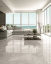 Aran Light Grey Polished 24X48