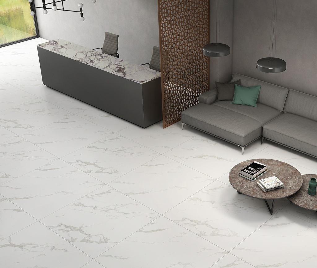 Marble Carrara Matt 48X48