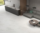Marble Carrara Matt 48X48