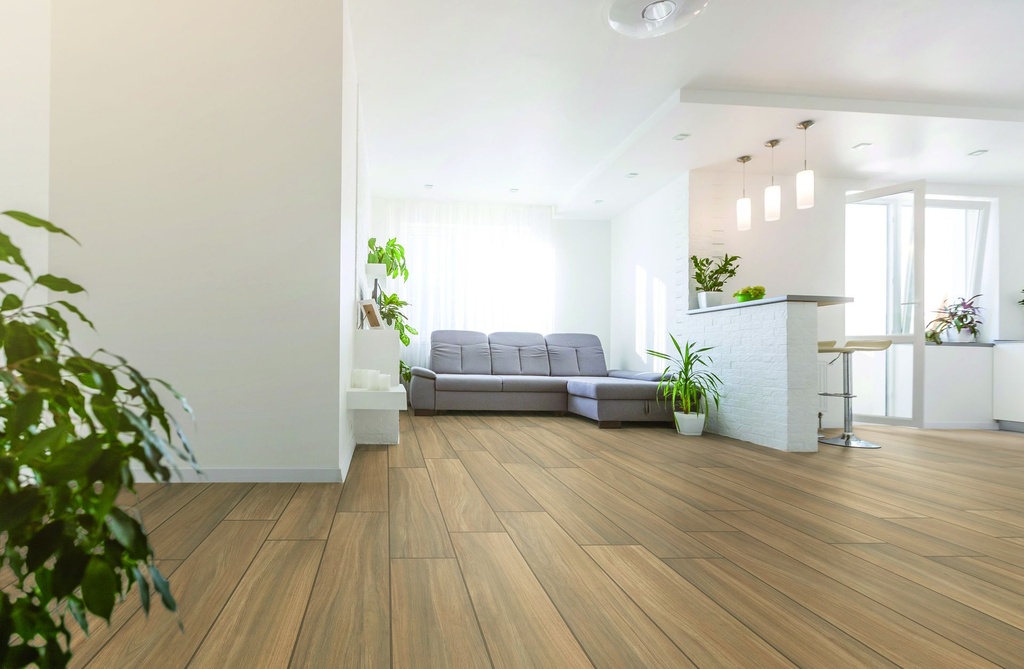 Argentario Miele 8x48