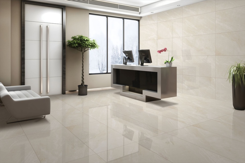 Petra Nova Bianco Polished 24x48