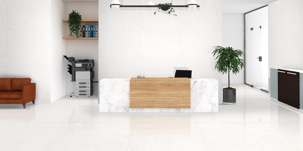 Meltone Bianco Polished 48x48