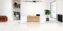 Meltone Bianco Polished 48x48