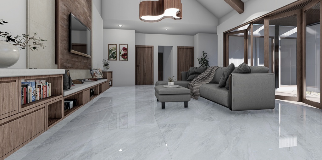 Galaxia Gray Polished 24x48 TC6012A0220