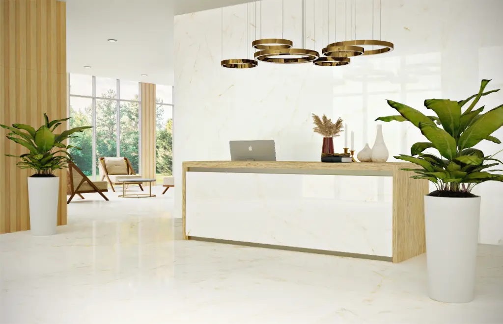 Trevi Pulido 24x48 