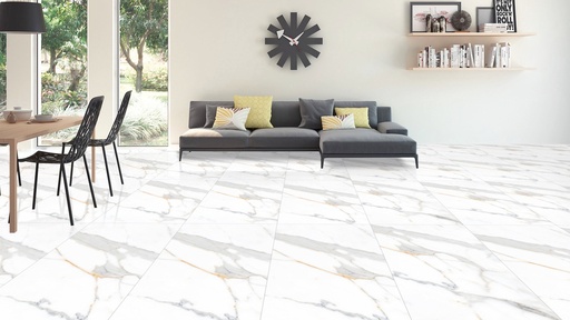Carrara Venice 24X48