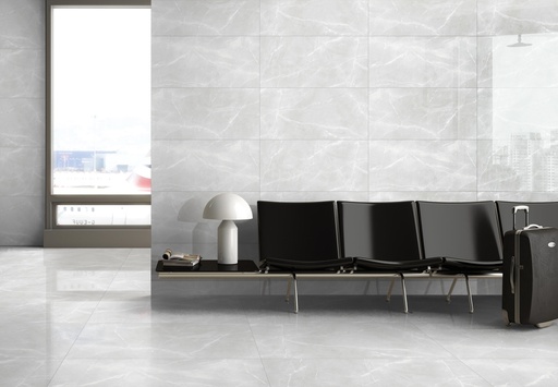 Earthstone White Polished 24X48