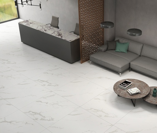 Marble Carrara Matt 48X48