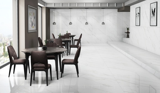 Marble Statuario Polished 48X48