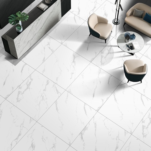 Marble Carrara Matte Satin 48X48