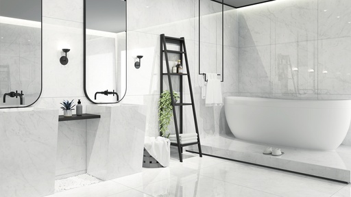 Bianco Thassos Polished 32x55