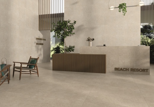 Ulisse Natural Mate 24x48