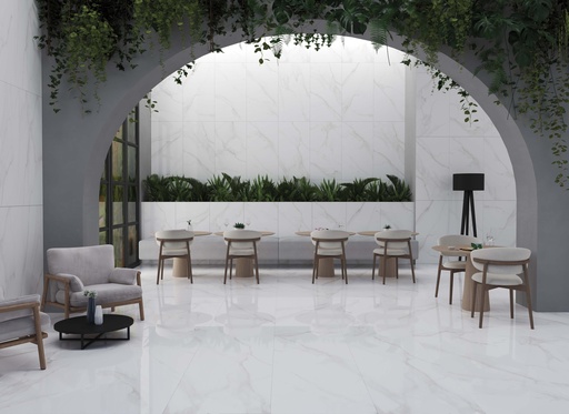 Lumiere White Polished 24x48