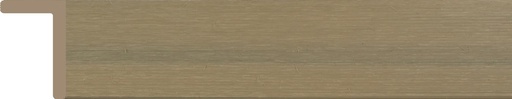 WPC Xtruewall Tan L Trim