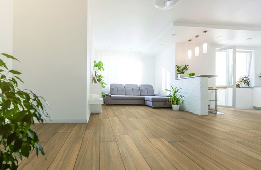 Argentario Miele 8x48