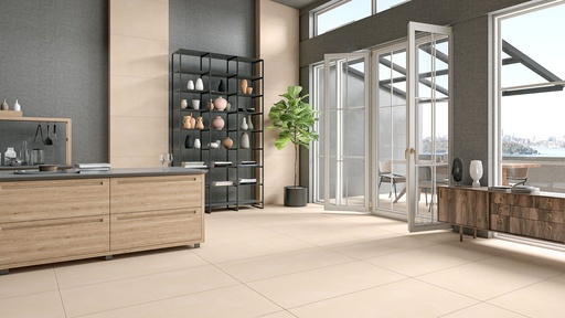 Downtown Ivory InOut 24x48