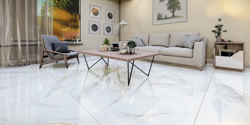 Carrara Gold 24x48 TC6012A0140