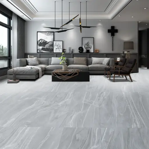 Galaxia Gray Polished 24x48 TC6012A0220