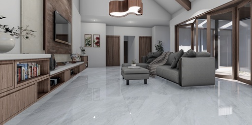 Galaxia Gray Polished 24x48 TC6012A0220