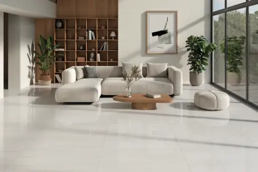 Nimbus Ivory Pulido 24x48