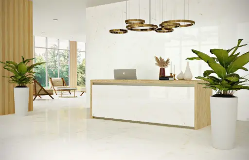 Trevi Pulido 24x48 