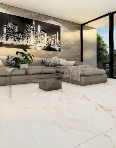 Carrara Gold Matte 24x48 TM6012A0020